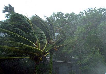 Strong winds damage vehicles - Sri Lanka