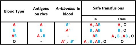 Biology-cell membrane