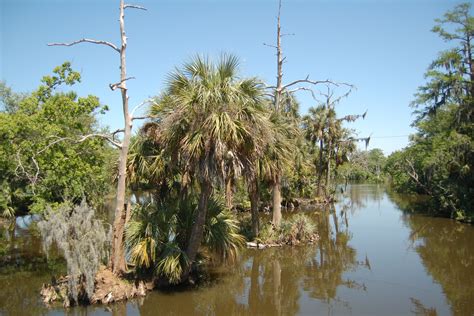 Scenic Photos: Louisiana Scenery Photos