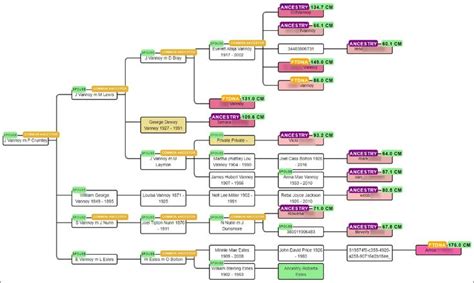 23andMe | DNAeXplained – Genetic Genealogy in 2020 | Family tree dna ...