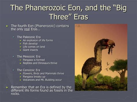 PPT - The Geologic Timeline PowerPoint Presentation, free download - ID ...