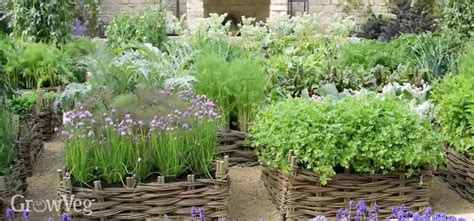 Herb Garden Design Ideas