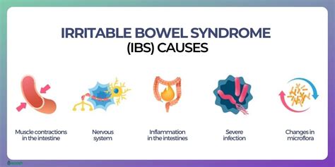 IRRITABLE BOWEL SYNDROME (IBS) - Symptoms, Causes, Risk Groups, IBS Treatment, and IBS Diet - Ecosh