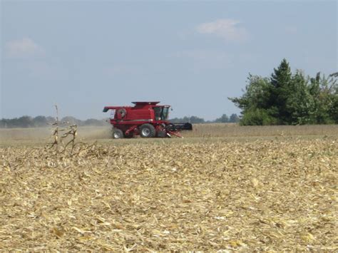 Soybean Harvest - Cultivation Of Crops