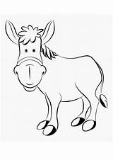 Donkey Coloring Pages Drawing Mule Donkeys Line Male Cute Color  sketch template