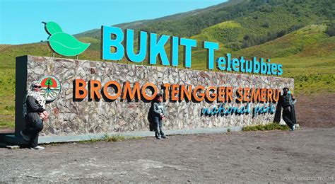 Bukit Teletubbies Bromo | Taman nasional, Alam, Taman