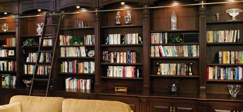 Design a Striking Home Library | Shelves and Cabinets