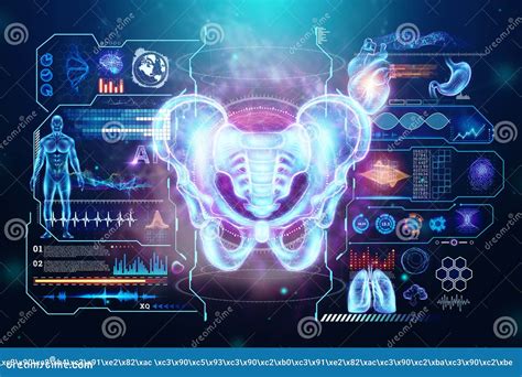 Hologram, Ultrasound Image, Anterior View of the Male Pelvis, Sacrum ...