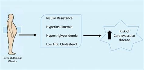 Inflammation's Role in Obesity – Biochemistry II Final Project