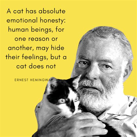 Ernest Hemingway Quotes About Cats | Cat lover quote, Dog quotes, Cat quotes