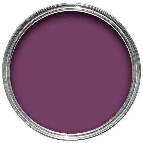 Colours Victoria Purple Silk Emulsion Paint 2.5L | Departments | DIY at B&Q