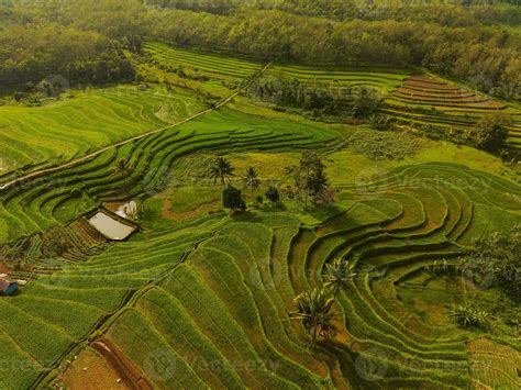 Aerial view of green rice terraces in Indonesia 21588832 Stock Photo at Vecteezy