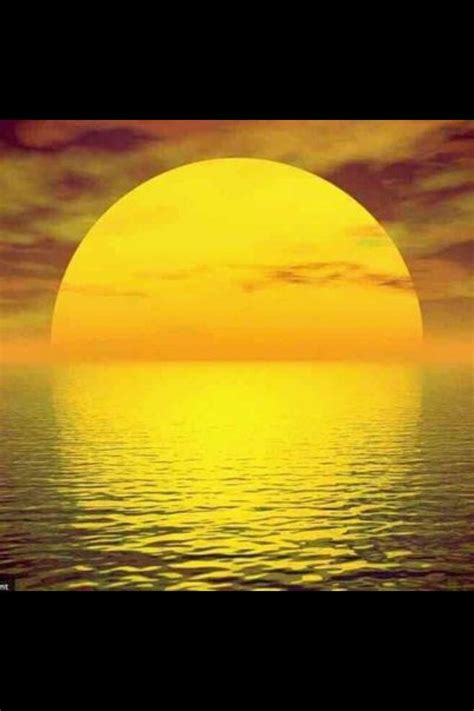 61 best images about Yellow Sunsets on Pinterest