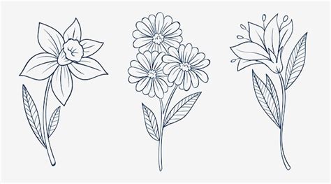 How To Draw Flower Sketch | Best Flower Site