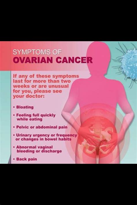 Symptoms Of Ovarian Cancer - Musely