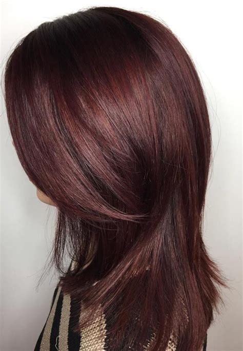 Mahogany Brown Hair Color - COLORFEDA