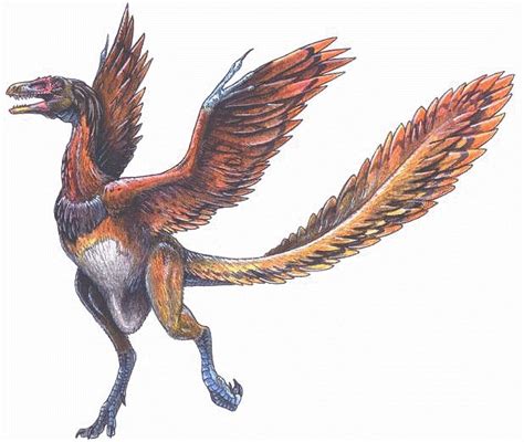 Archaeopteryx | Extinct Animals