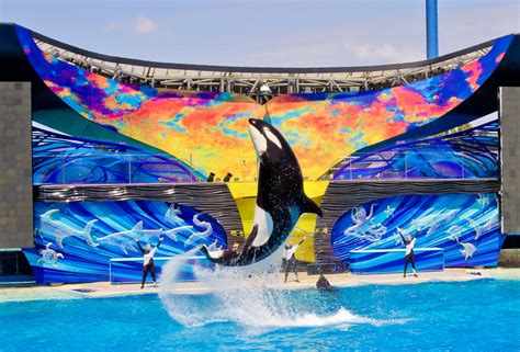 SeaWorld le dirá adiós a su show de Orcas asesinas