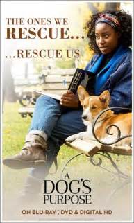 20 A Dog's Purpose Quotes ideas | a dogs purpose, dogs, a dogs purpose quotes