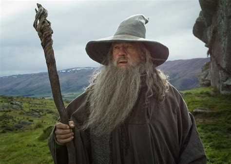 Ian McKellen refused to play Dumbledore because Richard Harris ...