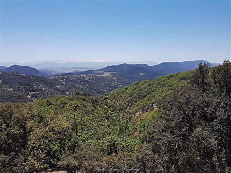 Meeting Wildlife in Moroccoâ€™s Tazekka National Park - In the Know ...