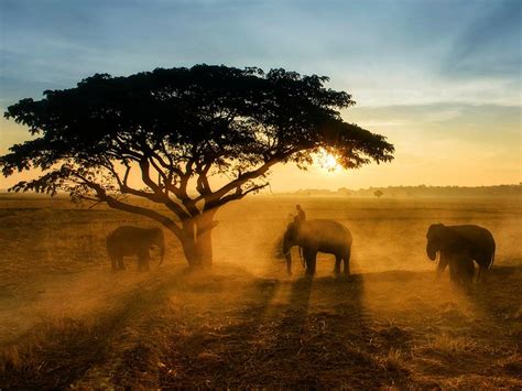 Shake Dust Landscape Photography By National Geographic 1