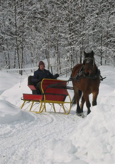 Tannery Brook Carriage Rides - Hebron, NH | Winter scenes, Dashing ...