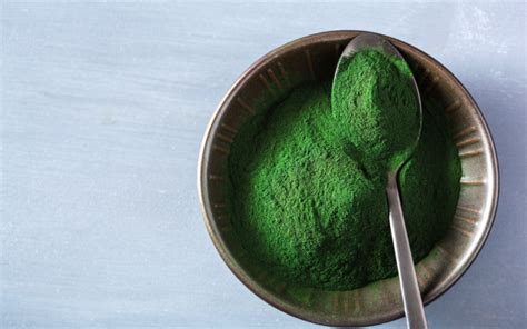 Spirulina VS. Chlorella: Everything You Need To Know - FreshCap Mushrooms