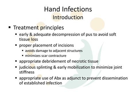 PPT - Hand Infections PowerPoint Presentation, free download - ID:3753697