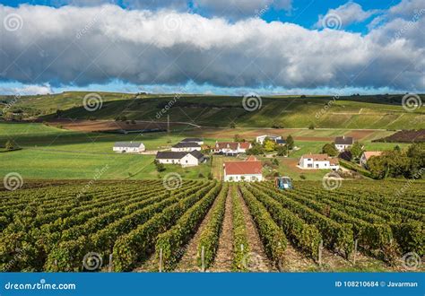 Vineyards of Loire Valley, France Stock Photo - Image of grape, wine ...