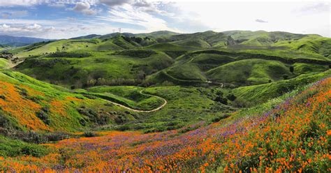 Superbloom among the rolling greens of Chino Hills State Park outside of Los Angeles CA [4096x2 ...