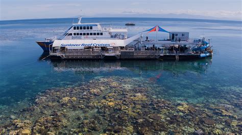 Great Barrier Reef Tour | Cairns Moore Reef Pontoon | Waterslide