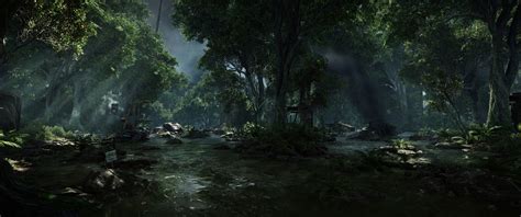 1920x1080 resolution | forest trail, Crysis 3, video games, forest, stream HD wallpaper ...