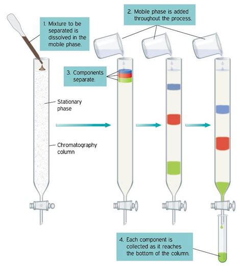 Column Chromatography: Types of Laboratory Equipment