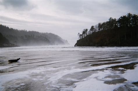 Hidden Oregon Beach, north of Lincoln City | Oregon beaches, Lincoln city, Favorite places