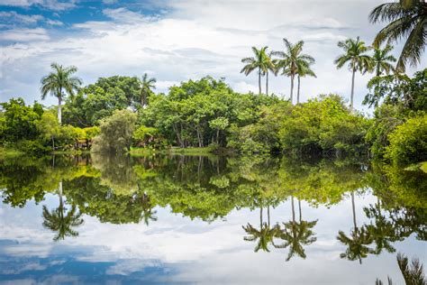 The Kampong – National Tropical Botanical Garden in Miami | Vine Vera ...