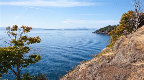 7 sensational things to do on San Juan Island | Seattle Refined