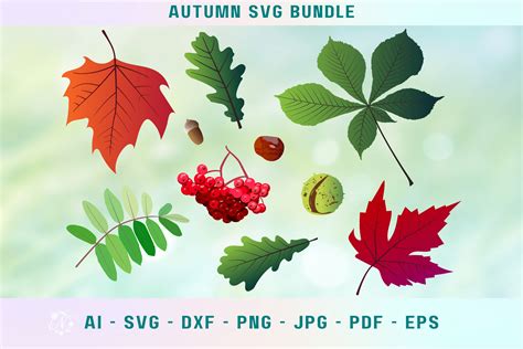 Autumn Leaves SVG Bundle Graphic by Nele_Creative · Creative Fabrica