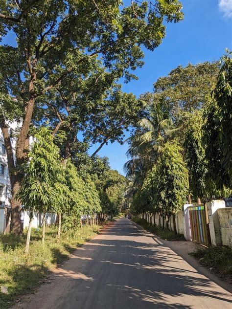 A Walkway in Campus of University of Chittagong, Bangladesh. Stock ...