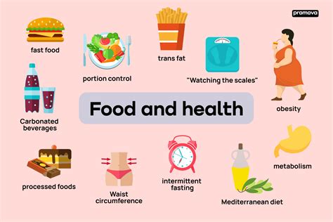 Exploring Food Vocabulary for a Healthier Lifestyle