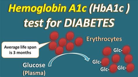 Glycosylated Hemoglobin Test And Its Importance