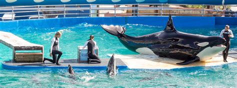 Miami Seaquarium - Things to do in Key Biscayne