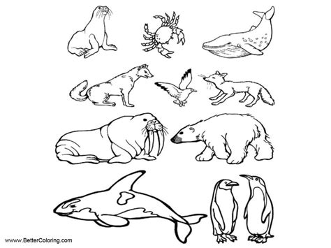 Arctic Tundra Animals Coloring Pages - Free Printable Coloring Pages