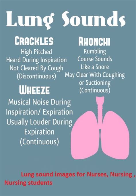 Which Is the Term Used to Describe Abnormal Breath Sounds