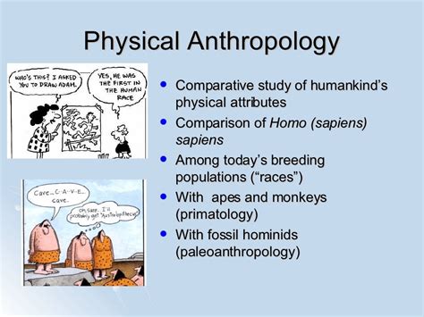 Introduction to Physical Anthropology