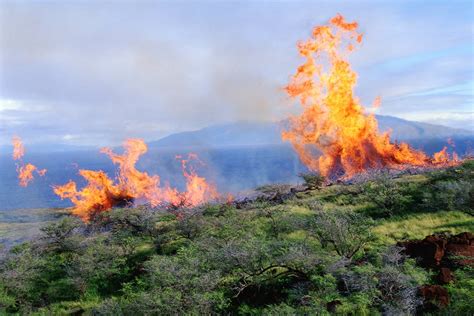 What Caused the Maui Fires? Here’s What We Know - RV Lyfe