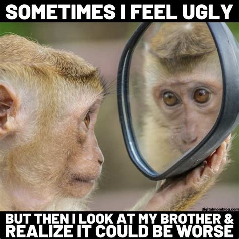 20 Hilarious Monkey Memes To Instantly Brighten Your Day