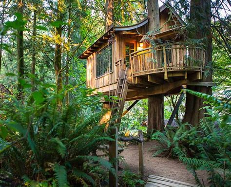 7 Tree Houses In India That Will Take You Back Into Your Childhood Days | HerZindagi