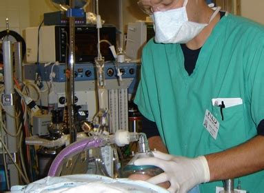 Nurse Anesthetist | explorehealthcareers.org