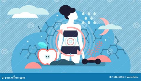 Metabolism Concept Vector Illustration Diagram, Biochemical Body Cycle ...